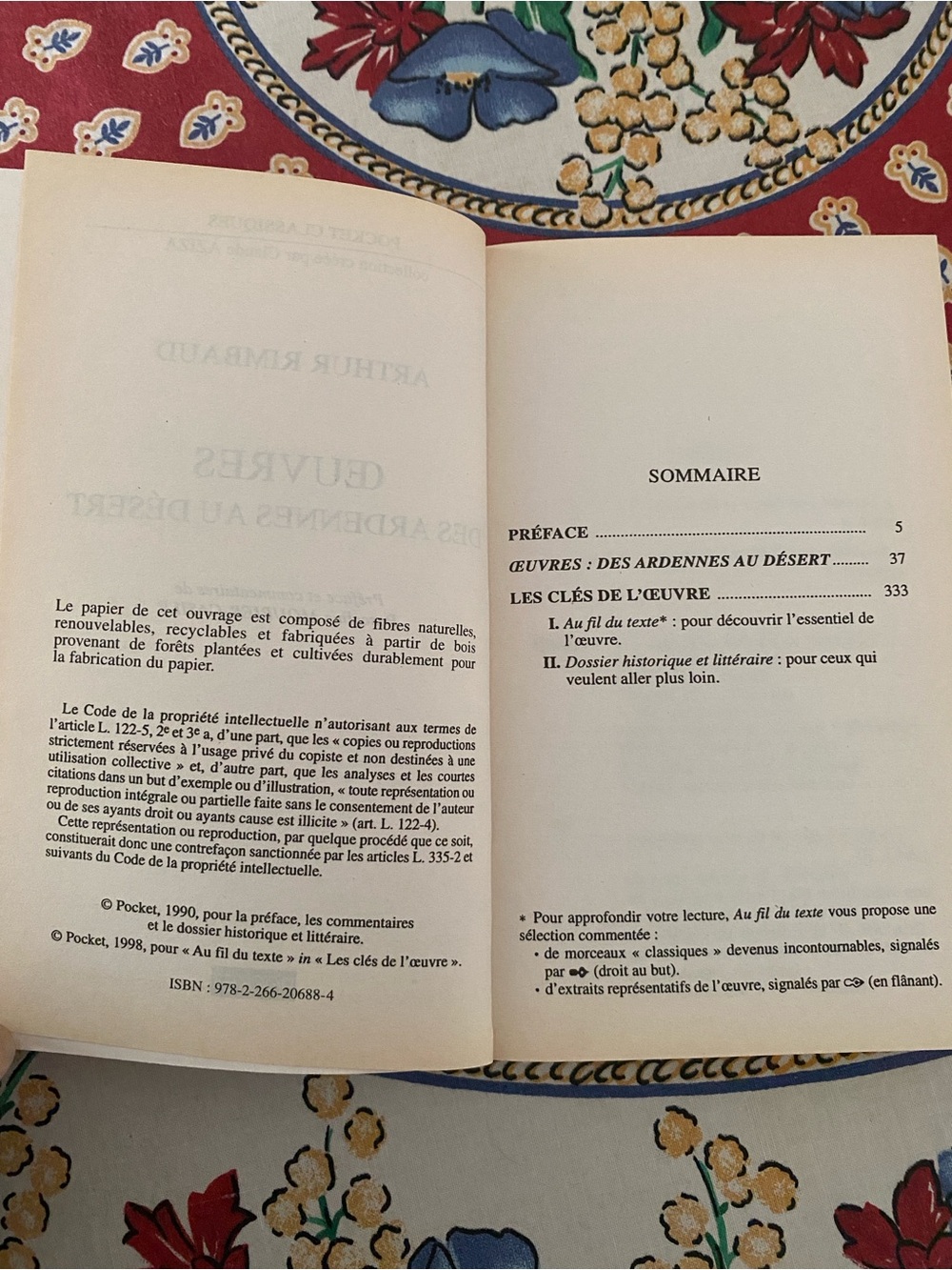 Arthur Rimbaud - 2 French Language Paperbacks - Picture 15 of 16